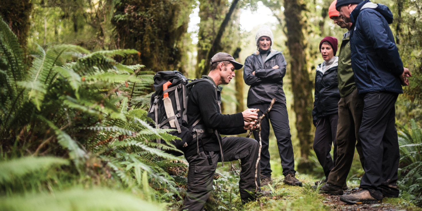 Guide explaining foliage to interested group of hikers