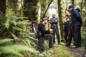Guide explaining foliage to interested group of hikers