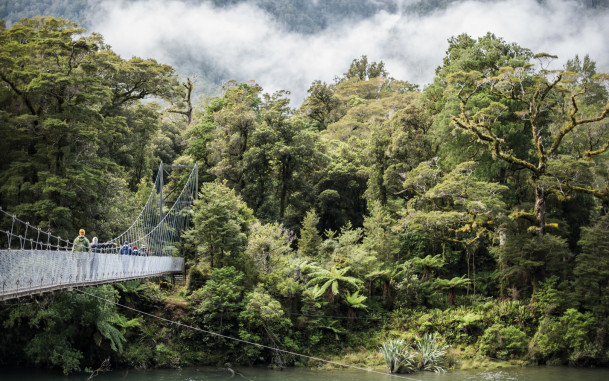 Couple walking on large swing bridge through native forest over river