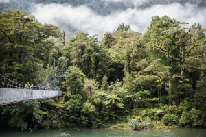 Couple walking on large swing bridge through native forest over river